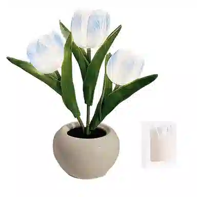 JIUFEN LED