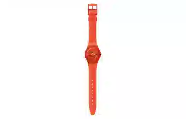 SWATCH Abricotier 30 34mm GO114