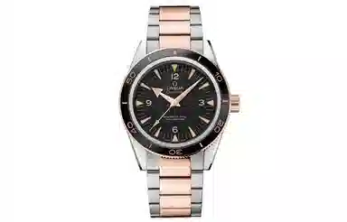 Omega Seamaster 233.20.41.21.01.001
