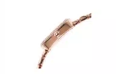 Emporio Armani AR11496