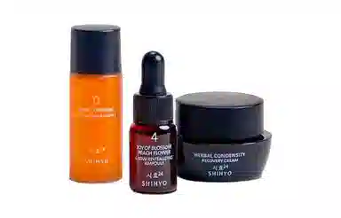 SHIHYO 3 13ml+224ml+8.5ml