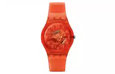 SWATCH Abricotier 30 34mm GO114