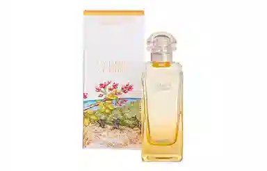 HERMES EDT EDT 50ml100ml