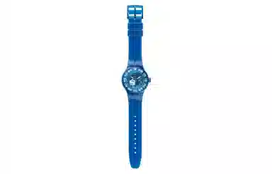 Swatch SUUS100