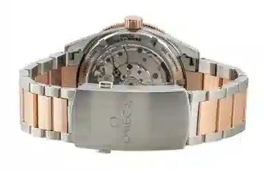 Omega Seamaster 233.20.41.21.01.001