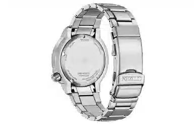 Citizen Promaster BN0165-55L