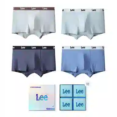 Lee 4