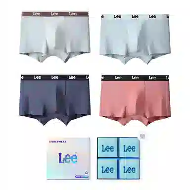 Lee 4