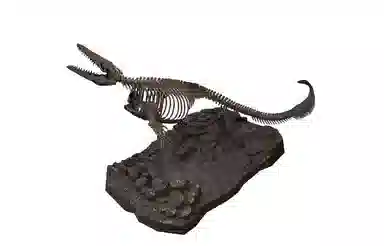 BANDAI Imaginary Skeleton