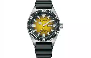 Citizen Promaster NY0120-01X