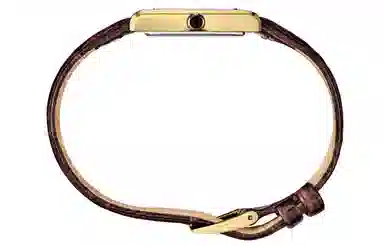 SEIKO Essentials 30 18.9mm SWR066