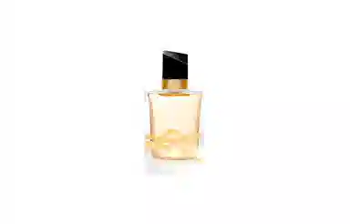 YSL 1966 2.2g+Libre 7.5ml +YSL