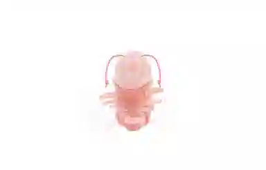 JELLYCAT jellycat 6cm