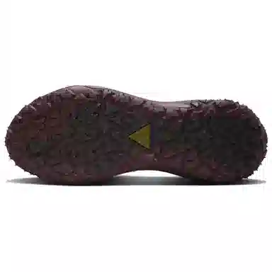 Nike ACG Mountain Fly 2 LOW Gore-Tex