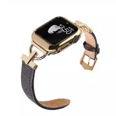 IBOANN 10080398469603