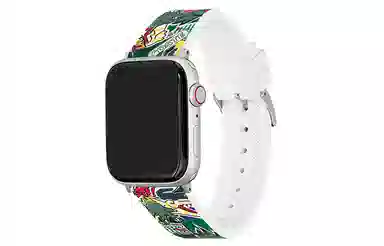 Lacoste Strap 2050032