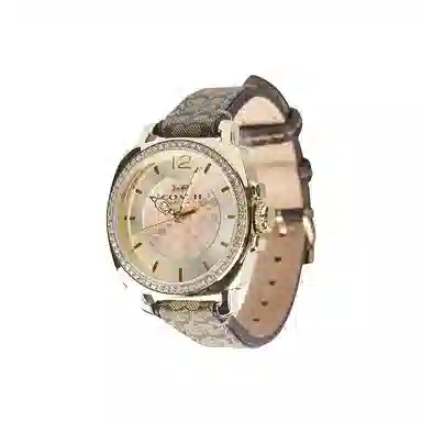 COACH Boyfriend 14502509