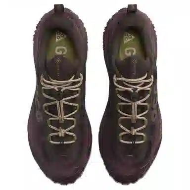 Nike ACG Mountain Fly 2 LOW Gore-Tex