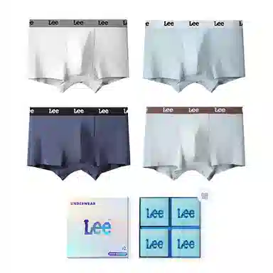 Lee 4