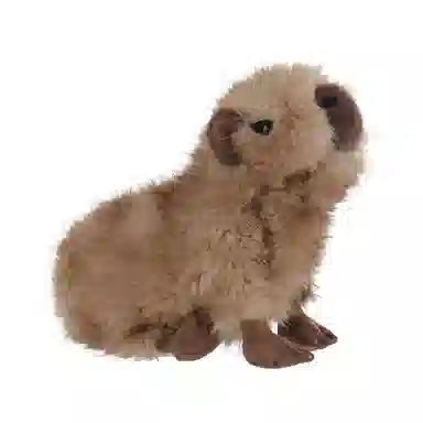 APRICOT LAMB 18cm
