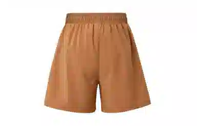 Jordan Dri-FIT Sport Brown Shorts