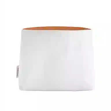 bagINBAG MiumiuIVY