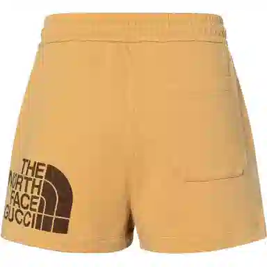 GUCCI x THE NORTH FACE SS21 Shorts