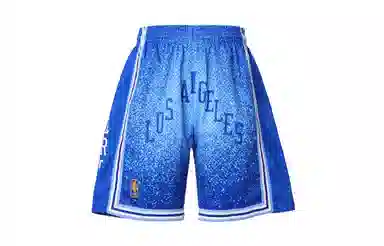 Mitchell Ness 1996Swingman