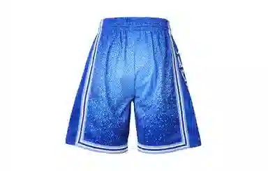 Mitchell Ness 1996Swingman