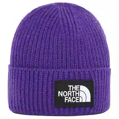 The North Face Logo Beanie Purple