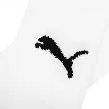 PUMA Team LIGA Socks White