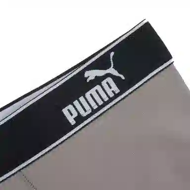PUMA 3