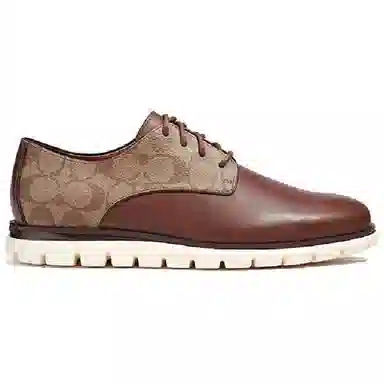 COACH Hybrid