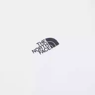 THE NORTH FACE Logo T