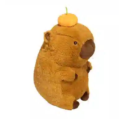 40cm60cm