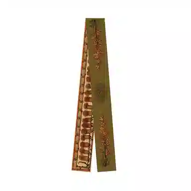 KALIIYA STUDIO vintage