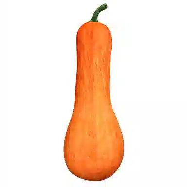 20cm40cm60cm80cm100cm120cm