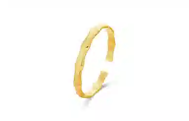 WANLIACC