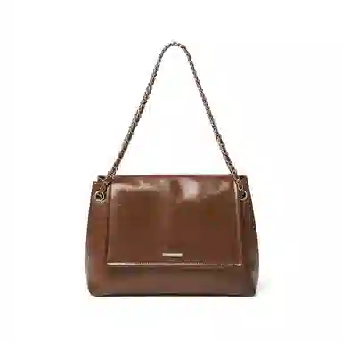 红蜻蜓 时尚复古设计小众裂纹链条简约通勤百搭款 牛皮 斜挎包 常规 女款 焦糖色/经典黑