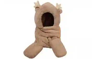 Cranta Komeia