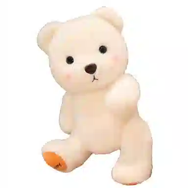 30cm40cm