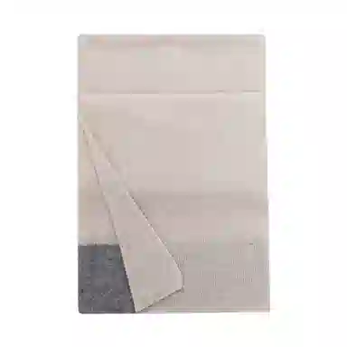 WENSLI