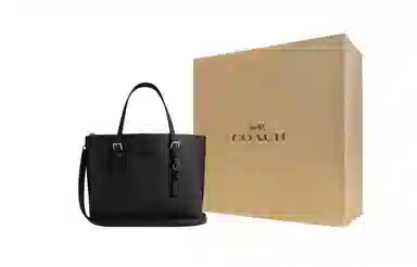COACH Mollie 25 Tote