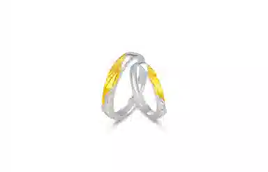 ARPOLINE ins S999