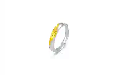 ARPOLINE ins S999