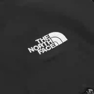 THE NORTH FACE FELIX GORE-TEX Logo