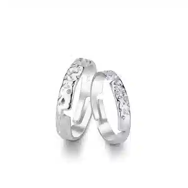 PARAS KORS PK Meteorite