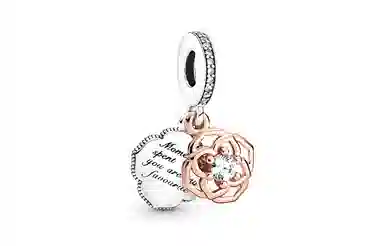Pandora Two-Tone Rose Charm