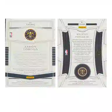 PANINI 2020-21 0725+2023 2225