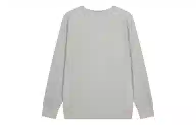 Champion FW23 Reverse Weave C-Logo